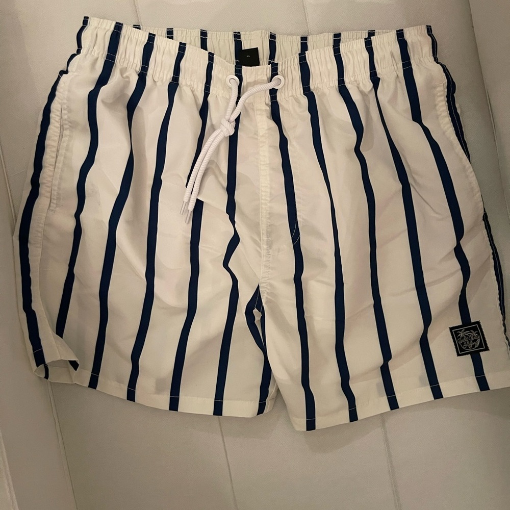 Striped Men's Swim Shorts - White and Blue